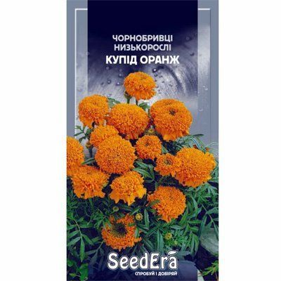 Насіння квітів Чорнобривці Купід оранж, 0,5 г (Seedera)