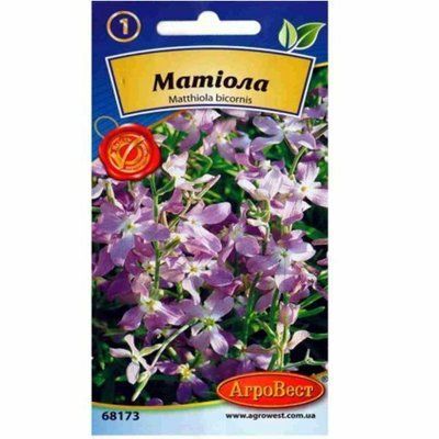 Квіти Матіола 1 г (АгроВест)