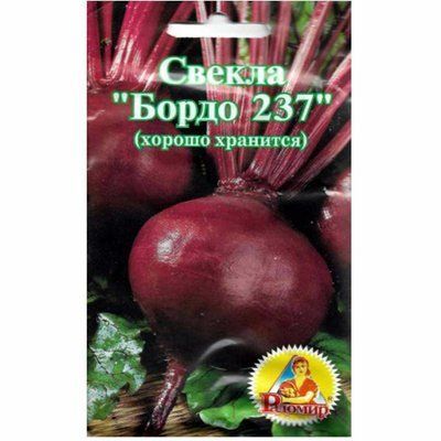 Насіння буряка столового Бордо 237 , 10 г (Радомир)