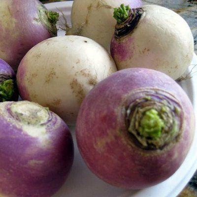 Насіння ріпи Самсон (турнепс) , 100 г (зіппер)
