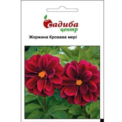 Насіння квітів жоржина Кровава Мері, 0,1 (Садиба Центр)