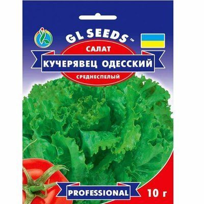 Насіння салату Кучерявець Одеський, 10 г (GL SEEDS)