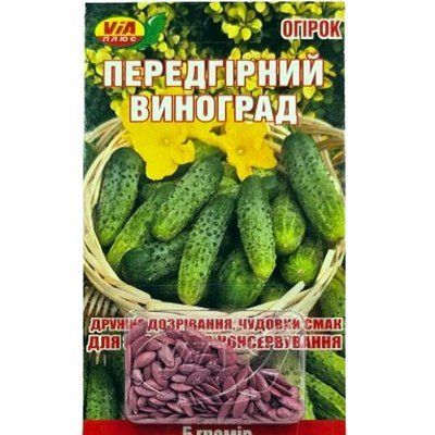 Насіння огірка Предгірний виноград, 5г (VIA+)