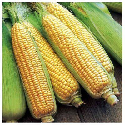 Насіння кукурудзи Брусниця 10 г (зіппер)