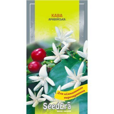 Кава аравійська кімнатна Seedera, 10 шт