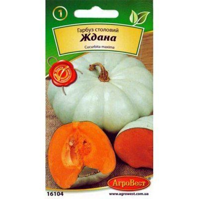 Насіння гарбуза столового Ждана , 2 г (АгроВест)