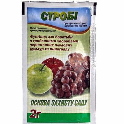 Фунгіцид Стробі, 2 г (БАСФ СЕ)