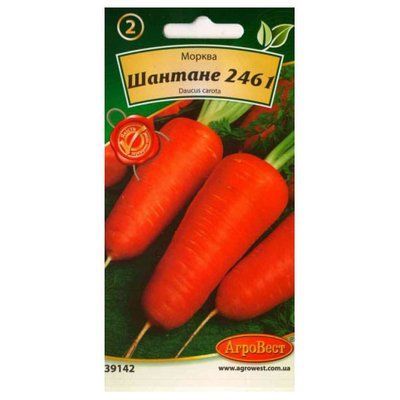 Насіння моркви Шантане 2461, 10 г (АгроВест)