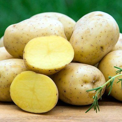 Насіннева картопля Арізона, кг