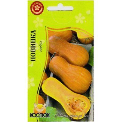 Насіння гарбуза столового Новинка , 2 г (КОСТЮК)