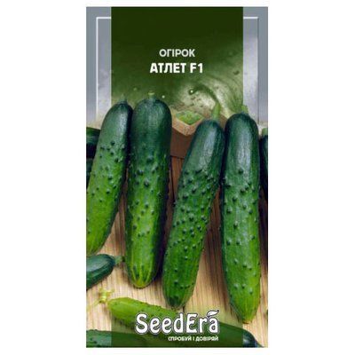 Насіння огірка Атлет F1, 10 шт (Seedera)