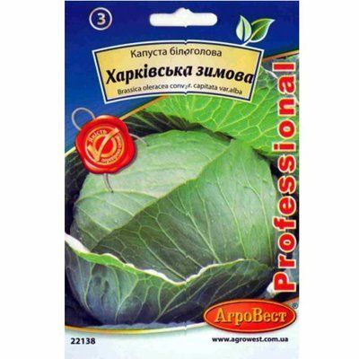 Насіння капусти білоголової Харківська зимова , 50 г (АгроВест)