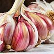 Часник Морадо (фракція 45/60 мм) 0,5 кг