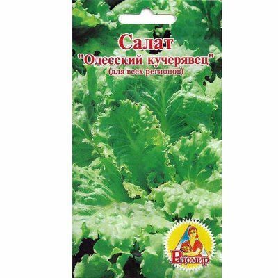 Насіння салату Одеський кучерявець, 2 г (Радомир)