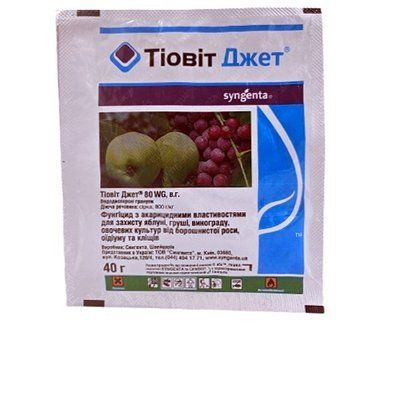 Фунгіцид Тіовіт Джет 80 WG, в. г., 40 (Syngenta)
