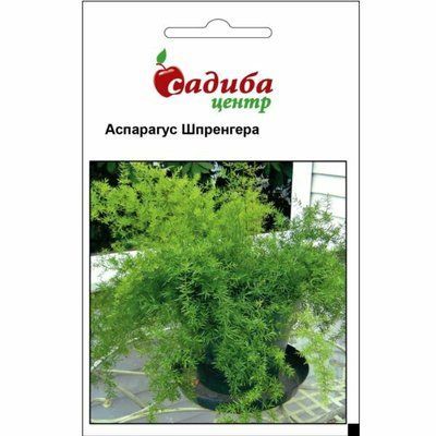 Аспарагус Шпренгера 0,3 г (Садиба Центр)