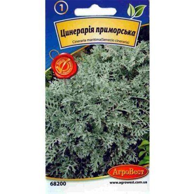 Насіння квітів Цинерарія приморська 0,1 г (АгроВест)