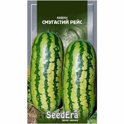Насіння кавуна Смугастий Рейс SeedEra, 1 г