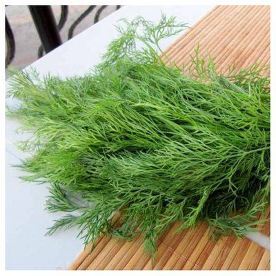 Насіння кропу кущового САЛЮТ, 10 г (Садиба)