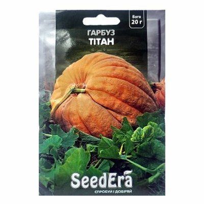 Насіння гарбуза столового Тітан, 20 г( Seedera)