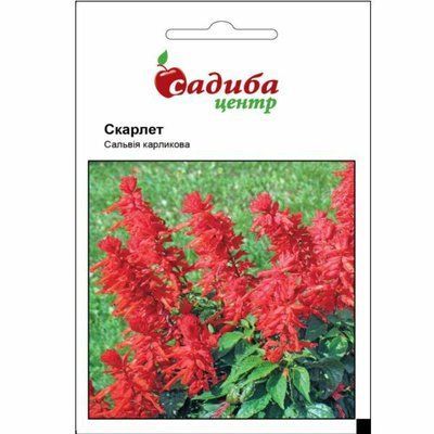Сальвія Скарлет 0,1 г (Садиба Центр)