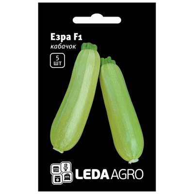 Насіння кабачка Езра F1, 5 шт (Leda Agro)