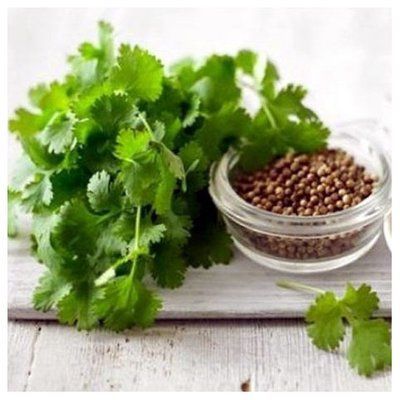 Насіння прянощів Коріандр, 1 г (зіппер)