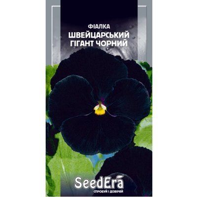 Насіння квітів Фіалка садова Швейцарський гігант чорний 0,1 г (Seedera)