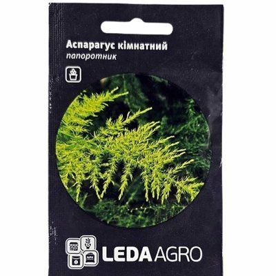Насіння квітів Аспарагус кімнатний, 5 шт (Leda Agro)