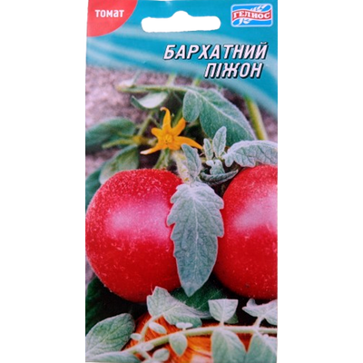 Насіння томату Бархатний піжон, 25 нас (Геліос)