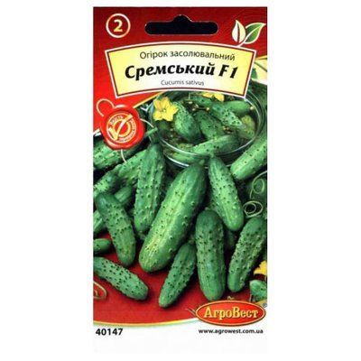 Насіння огірка Сремський F1, 1 г (АгроВест)