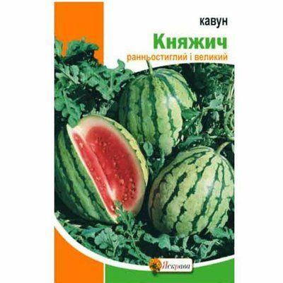 Кавун Княжич 2 г (Яскрава)