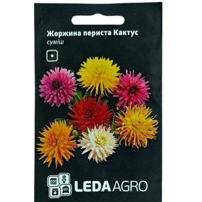 Насіння квітів Жоржина периста Кактус, 0,2 г (Leda Agro)