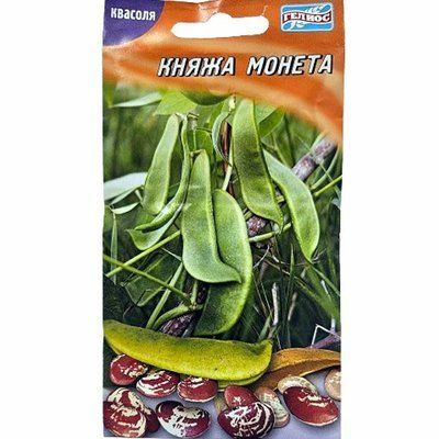 Насіння квасолі Княжа монета, 10г(Геліос)