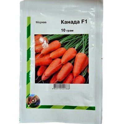Насіння моркви Канада, 10 г (АГРОПАКГРУП)