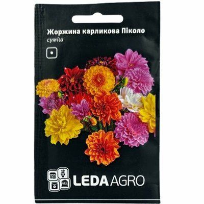 Насіння квітів Жоржина карликова Піколо, 0,2 г (Leda Agro)