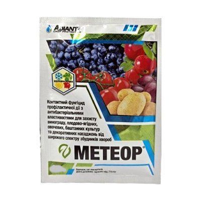 Фунгіцид Метеор з.п., 60 г (Adiant+)