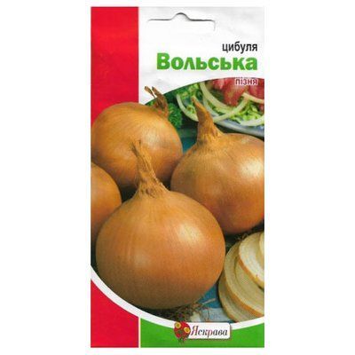 Насіння цибулі Вольська, 1г (Яскрава)